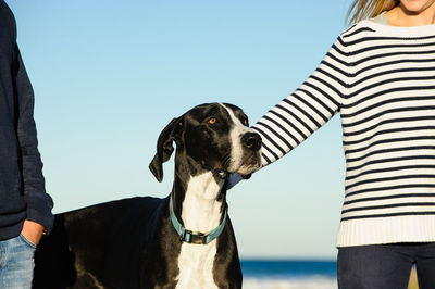 Midsection of man and woman with dog standing against sky