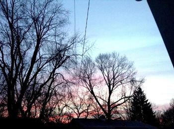 Low angle view of bare trees against sky