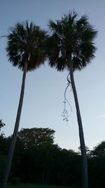 Low angle view of silhouette palm trees against clear sky