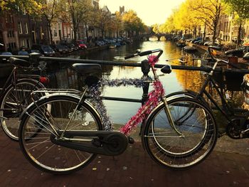 Bicycles parked in city