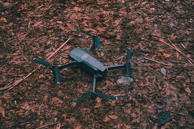 High angle view of fallen leaves on field during autumn