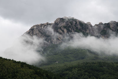 Scenic view of fogged mountain against sky