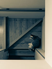 View of bird perching on staircase in building