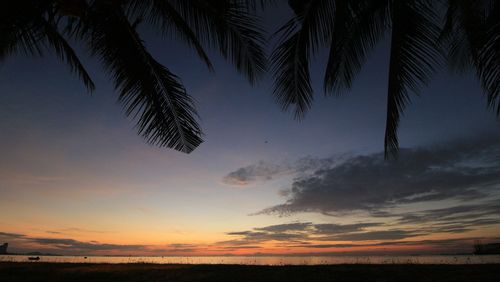 Low angle view of silhouette palm trees against sky during sunset