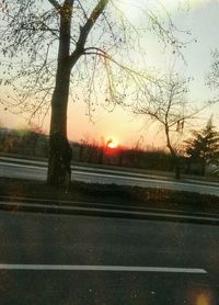 Close-up of bare tree by road against sunset sky