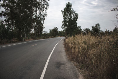 Empty road along trees and plants