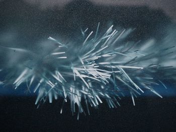 Close-up of firework display in sky at night