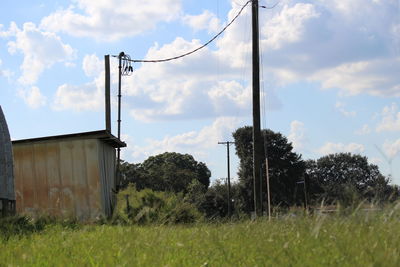 Low angle view of trees against sky