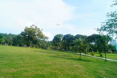 Trees on field against sky