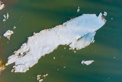 High angle view of white swimming in lake