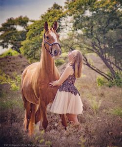 Horse standing on field