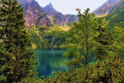 Scenic view of lake and trees against sky