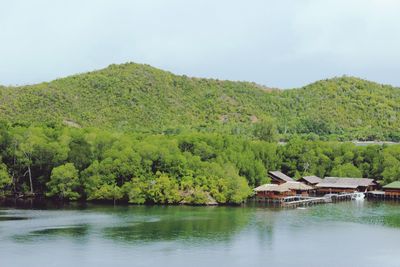 Scenic view of lake by trees against sky