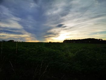 Scenic view of field against sky during sunset