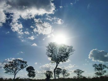 Low angle view of silhouette trees against sky