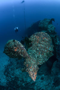 Person diving in sea