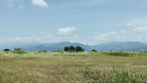 Scenic view of field against sky