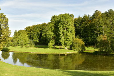 Trees by lake in park against sky