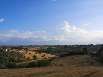 Scenic view of agricultural field against sky