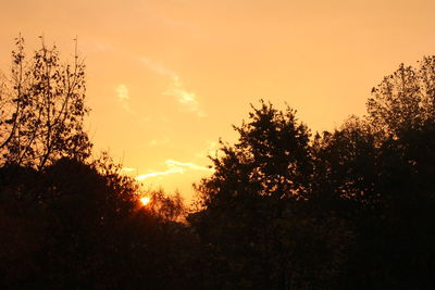 Low angle view of silhouette trees against sky during sunset
