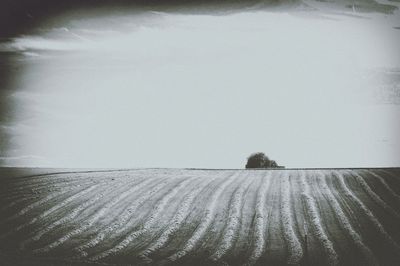 Agricultural field against clear sky during winter