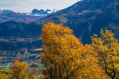 Trees on landscape against sky during autumn