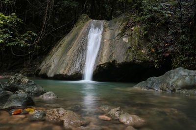 Scenic view of waterfall in forest