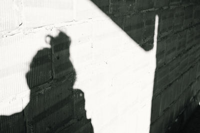 Shadow of woman on wall