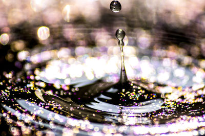 Close-up of water drop on leaf