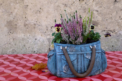 Close-up of purple flower pot against wall