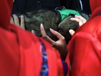 Close-up of man hand with cat