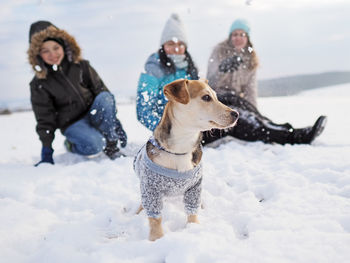 Dog on snow covered landscape during winter