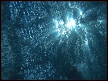 High angle view of water