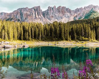 Scenic view of lake by mountains