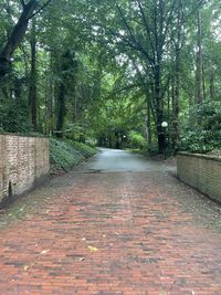 Empty footpath amidst trees in forest