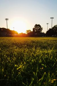 Scenic view of field against sky during sunset