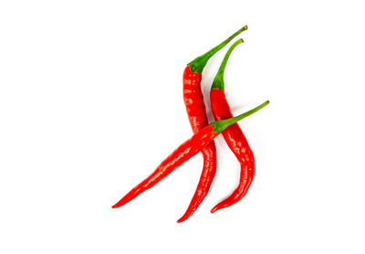 Close-up of red chili pepper against white background