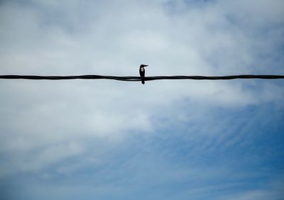 Low angle view of bird perching on cable against sky