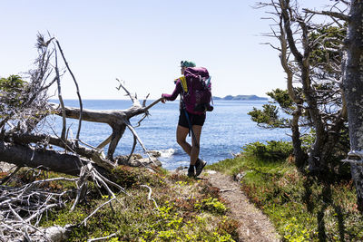 Backpacker leaning on tree on east coast trail