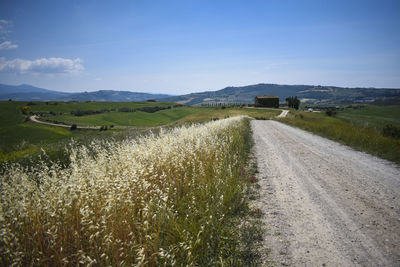 Road amidst agricultural field against sky