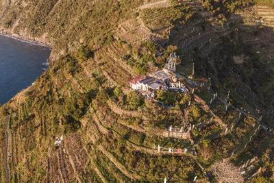 Aerial view of agricultural terrace field along the coastline near manarola, cinque terre