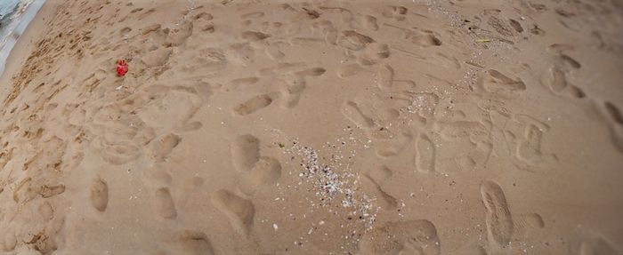 Close-up of sand on beach