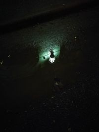 High angle view of puddle in water