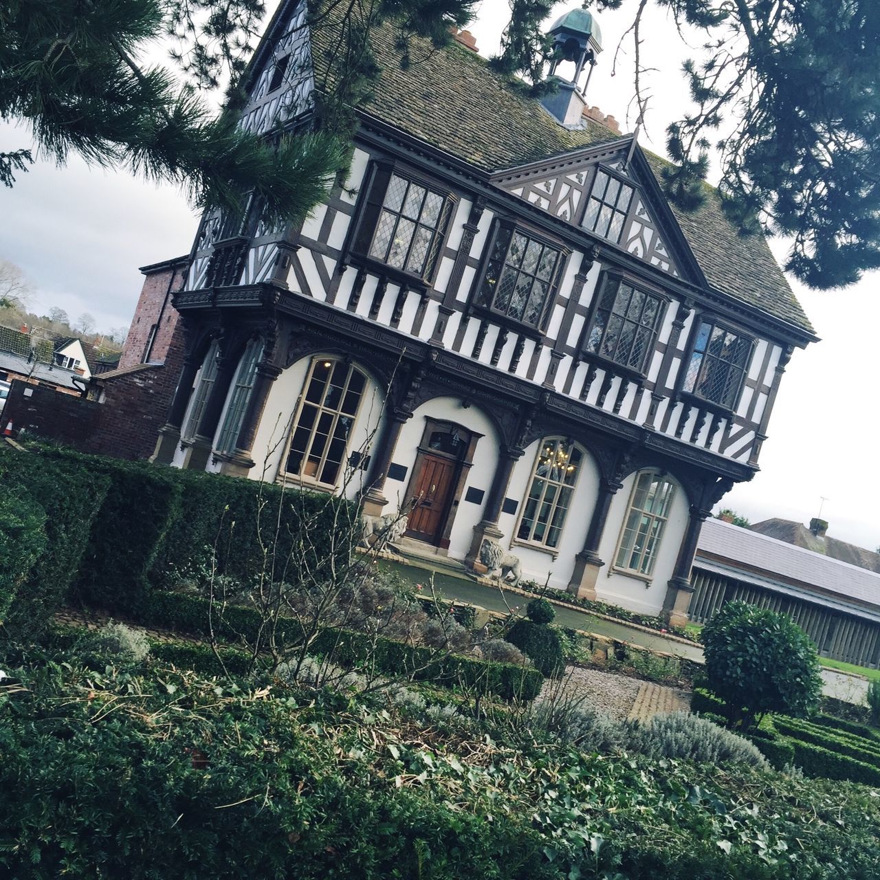 building exterior, architecture, built structure, tree, low angle view, sky, window, growth, building, residential building, city, day, branch, residential structure, lawn, house, sunlight, outdoors, no people, plant