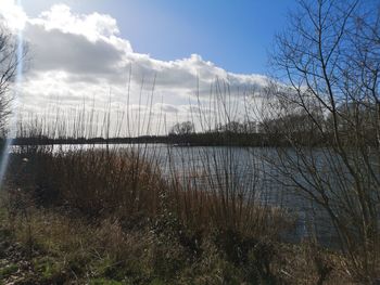 Scenic view of lake against sky