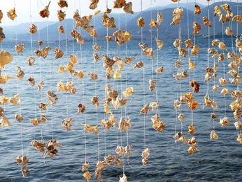 Full frame shot of water on sea