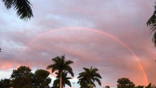 Low angle view of silhouette palm trees against rainbow in sky