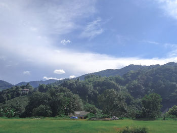 Scenic view of field against sky