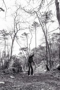 People walking on bare tree