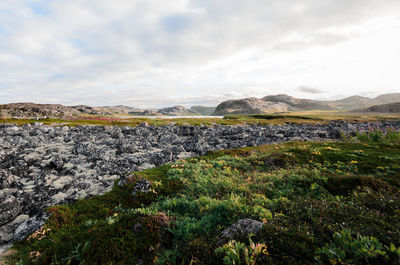 Scenic view of landscape against sky